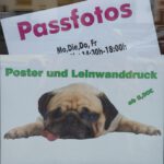 Pass-und Bewerbungsfotos